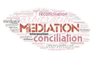 Professional Mediation Services